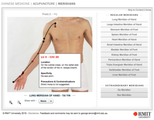 acupuncture meridians